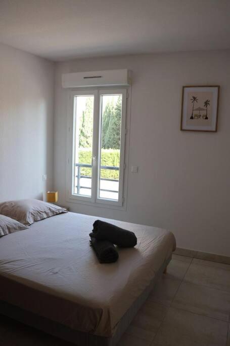 Suberbe Appartement Climatise Avec Terrasse Saint-Raphaël Exteriör bild