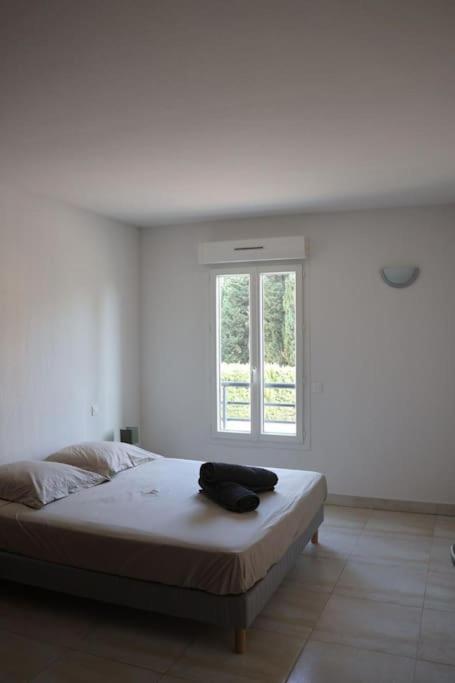 Suberbe Appartement Climatise Avec Terrasse Saint-Raphaël Exteriör bild